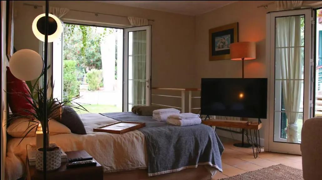 Whome Private Pool Guesthouse In Lisbon Portugal