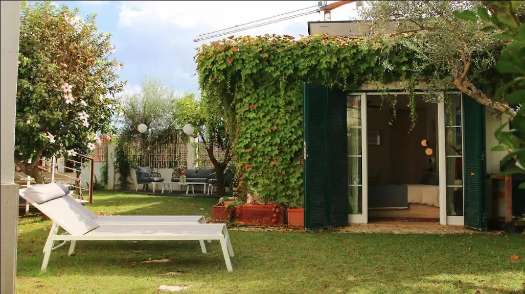 Whome Private Pool Guesthouse In Lisbon
