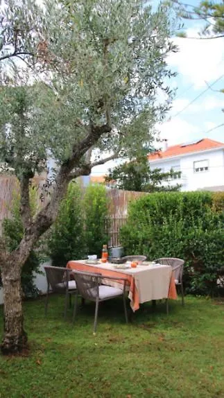 Whome Private Pool Guesthouse In Lisbon